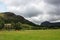 Lush rural field, dotted with cows grazing peacefully beneath a cloudy sky.