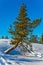 Lush snow drifts in a snow-covered forest