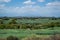 Lush South African Landscape with Mountains, Fields, Bushes