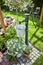 Lush spring garden with ornamental water pump