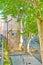 The lush sycamore trees and the shabby housing in Avenue des Thermes, Aix-en-Provence, France