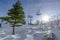 Lush tree against snow and ski lifts in Park City