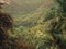 Lush tropical foliage. Roots and luxuriant vegetation in Lomas de Banao, Sancti SpÃ­ritus, Cuba. Caribbean