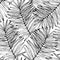 Lush tropics foliage background. Tropical seamless pattern: line sketch palm leaves silhouettes