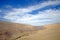 Lush valley in the Atacama desert, Chile