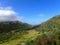 Lush Valley with road