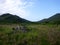 Lush Valley with road in distance