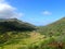 Lush Valley with road within Kaiwi State Scenic Shoreline