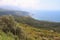 Lush vegetation and coastline in the Inner Mani in spring.  Peloponnese, Greece.