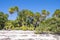 Lush vegetation on natural beach in Tropes, Isla de la Juventud, Cuba