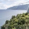 Lush vegetation on northern Atlantic shore east of Seixal, Madeira