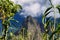 The lush vegetation of the Peruvian Andes surrounding the fantastic Inca city Machu Picchu