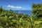 Lush vegetation slopes down toward the sea and the conical islands of northern Tortola