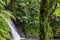 Lush and verdant Crayfish Waterfall in the National Park of Guadeloupe