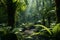 Lush and vibrant Amazon rainforest showcasing