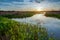 Lush Viera wetlands at sunset