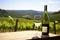 lush vineyard landscape with a bottle of sparkling wine in foreground