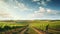 Lush vineyard rows leading to the horizon, the sky granting vast copy space above.