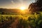 lush vineyard in the sunrise, with rays of light dancing on the vines