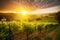 lush vineyard in the sunrise, with rays of light dancing on the vines