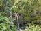 Lush waterfall in rain forest on road to hana, maui