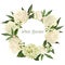 Lush white peonies wreath, hand drawn vector watercolor