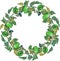 Lush wreath green apples leaves branches ornament   isolated
