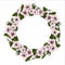 A lush wreath of pink cherry flowers and brightly green cherry leaves on a white background.