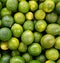 Lush Zest: A Bounty of Vibrant Green Limes