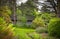 Lushy landscaped yard with rustic outbuilding in autumn among the pines