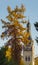 Lutheran church in Dubulti, Jurmala, Latvia