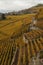 Lutry - Cully: Autumn colors landscape of the Unesco world heritage Lavaux along Lake Geneva.