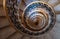 The Lutyenâ€™s stair, spiral stone staircase designed by Edwin Lutyens in the 1920s, located in the Ned Hotel, City of London UK