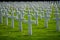 Luxembourg American Cemetery & Memorial crosses