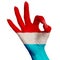 Luxembourg national flag painted on female hand showing ok sign