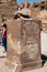 LUXOR, EGYPT - FEBRUARY 17, 2010: Scarab monument at Karnak temple in Egypt.