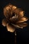 Luxurious Brown Flower with a Dark Background, Exquisite Floral Art Photography