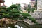 Luxurious Chinese classical garden garden scenery and ancient buildings