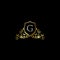 Luxurious Classy Letter G Logo Vector