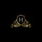 Luxurious Classy Letter H Logo Vector