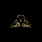 Luxurious Classy Letter V Logo Vector