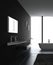 Luxurious Dark bathroom