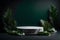 Luxurious empty product marble stone podium and forest green leaves on dark background.
