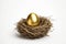 Luxurious Gold Egg In Nest Generative Ai
