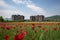 luxurious hotel with tulip fields in the background, ideal for a relaxing getaway