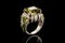 Luxurious Jewelry Rings in Elegant Display on Black Background