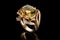 Luxurious Jewelry Rings in Elegant Display on Black Background