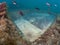 Luxurious marble flooring Emperor Claudioâ€™s Ninfeum. Underwater archeology