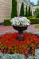 Luxurious natural still life large bowl with white flowers surrounded by growing on the ground red petals