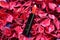 Luxurious open red lipstick on a pile of red flower petals